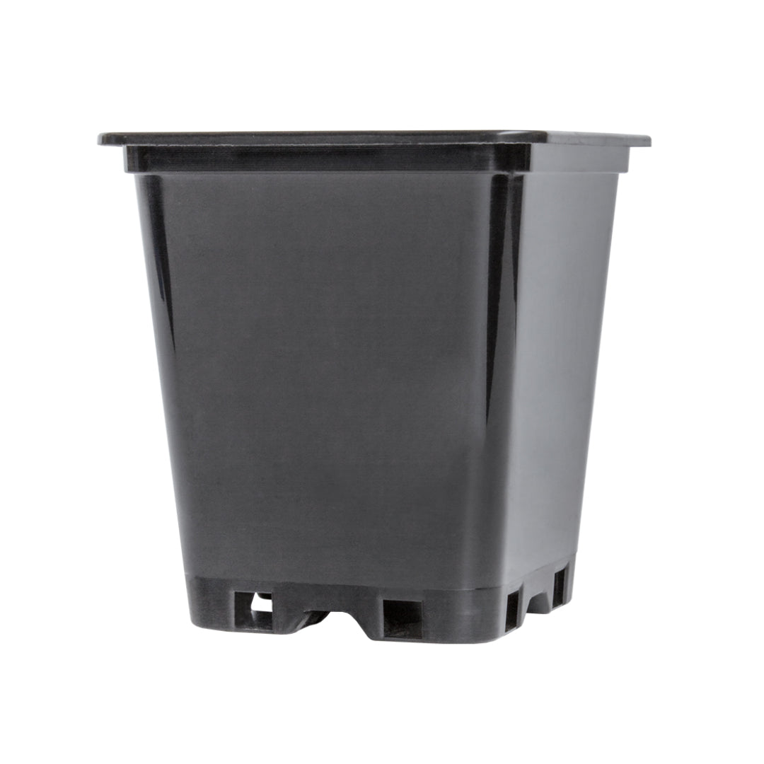 Plastic square pot 2L