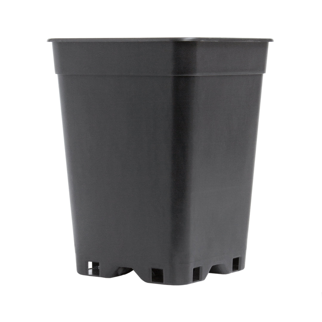 Plastic square pot 3L