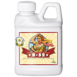 Advanced Nutrients B-52 10L