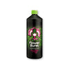 Buddhas Tree Flower Burst 1L Go Green Hydro
