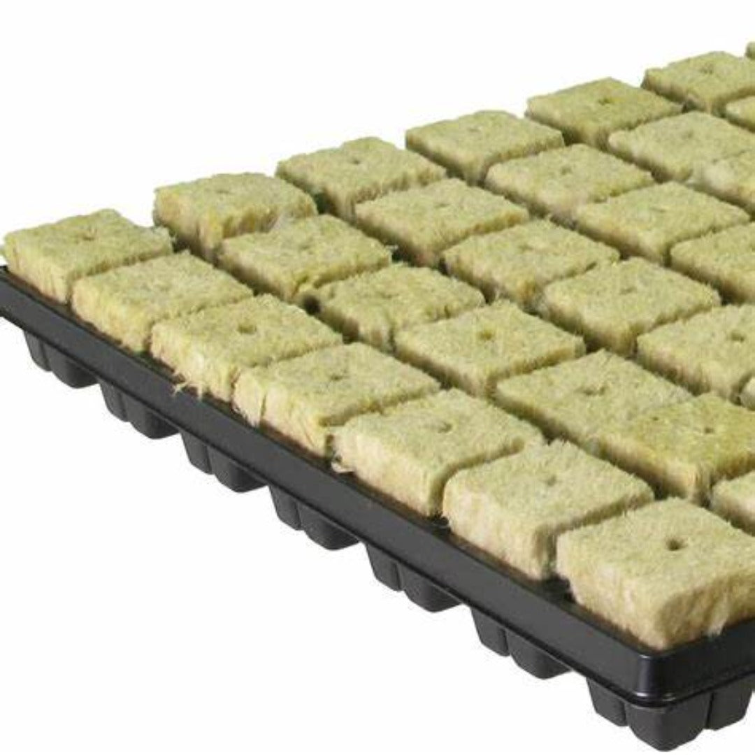 Cultilene CRB Large Propagator Cubes BOX of 18 Trays