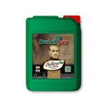 Dutch Pro Silica-Von Liebig 5L Go Green Hydro