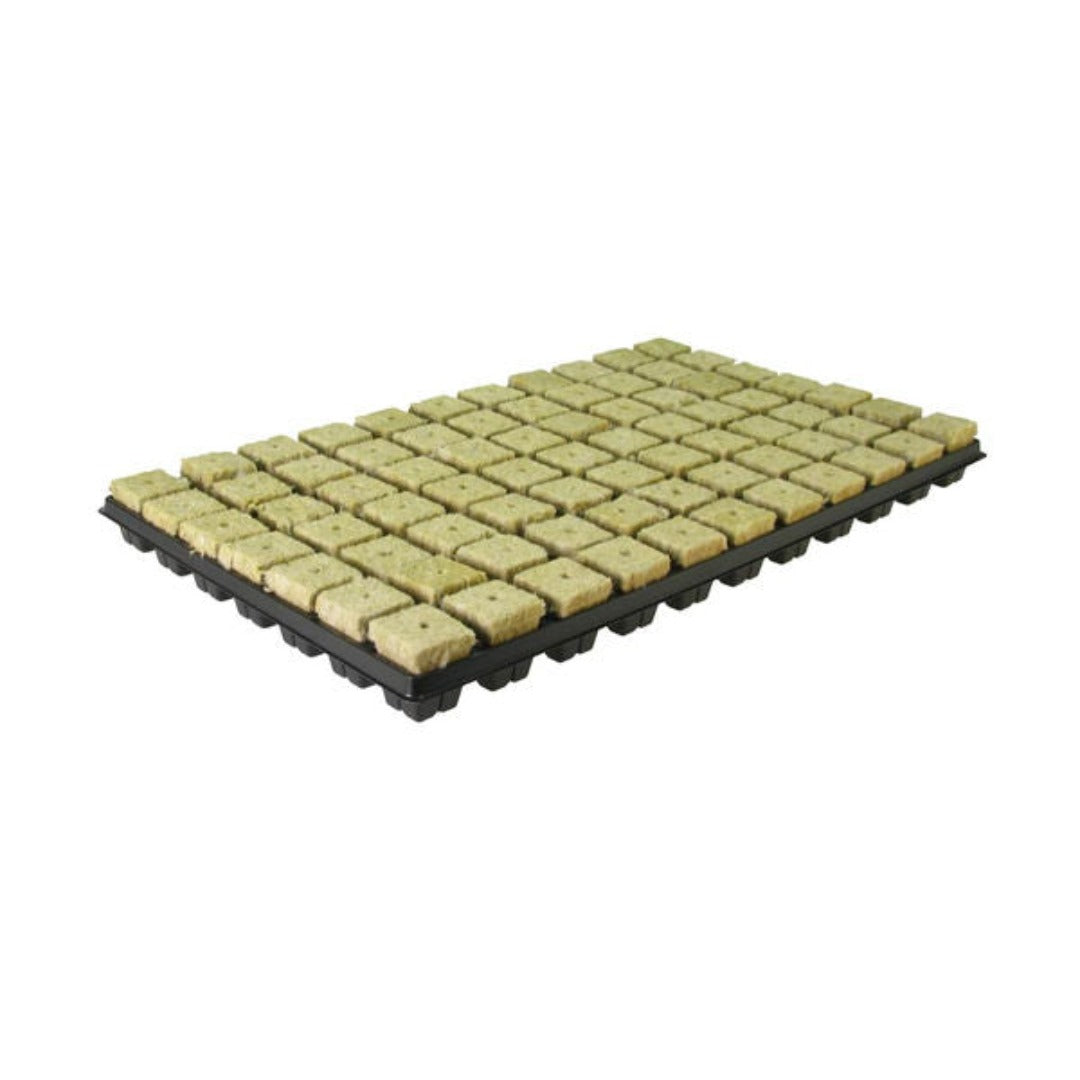 Grodan SBS 77Cubes in Tray