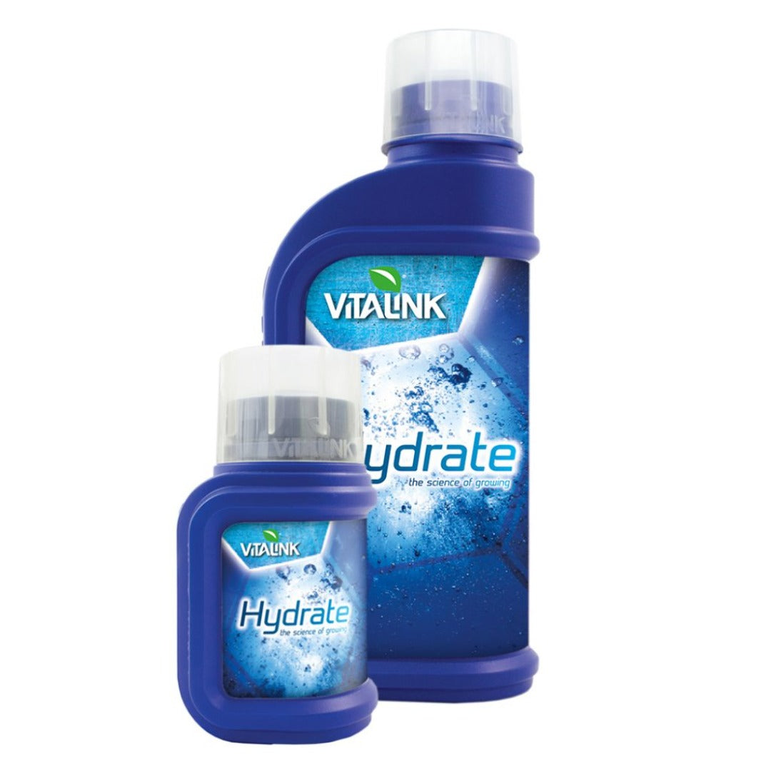 VitaLink Hydrate 1L