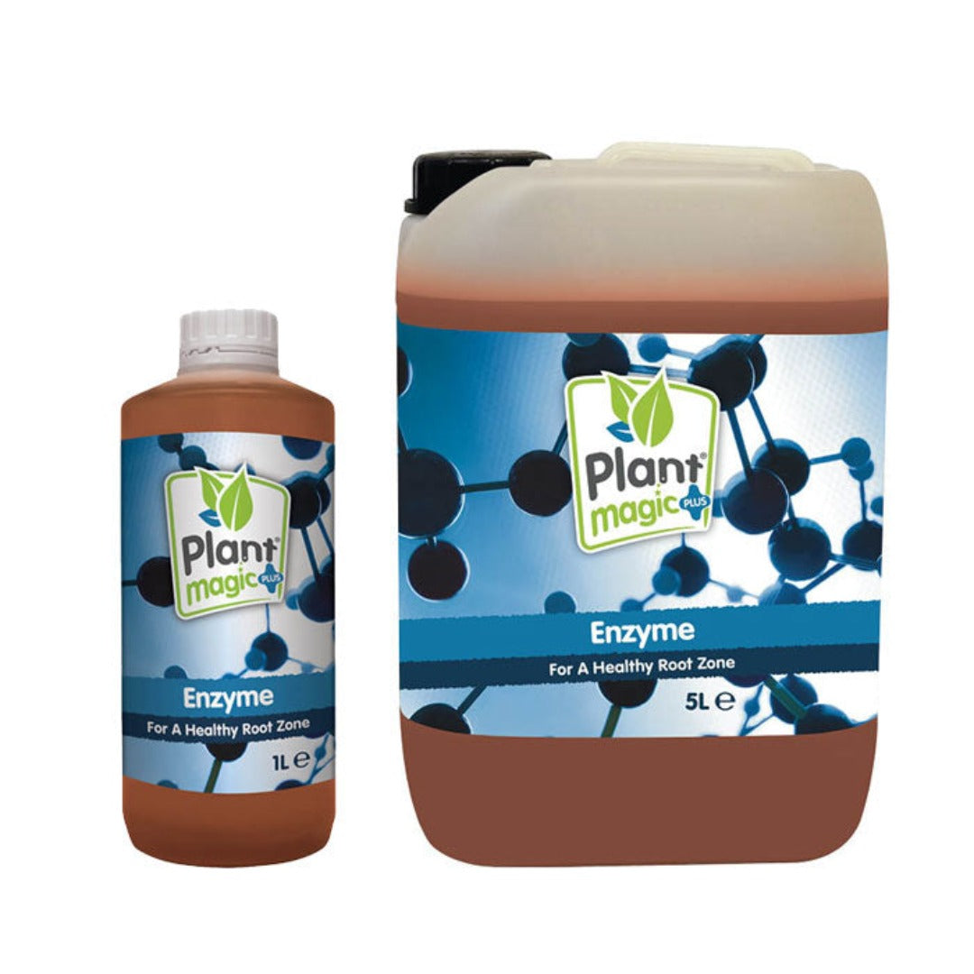 Two bottles of Plant Magic Enzyme, one large and one small, with labels indicating the product is an enzyme for a healthy root zone.