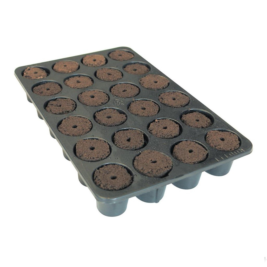 Root!t natural sponge 24 cell tray