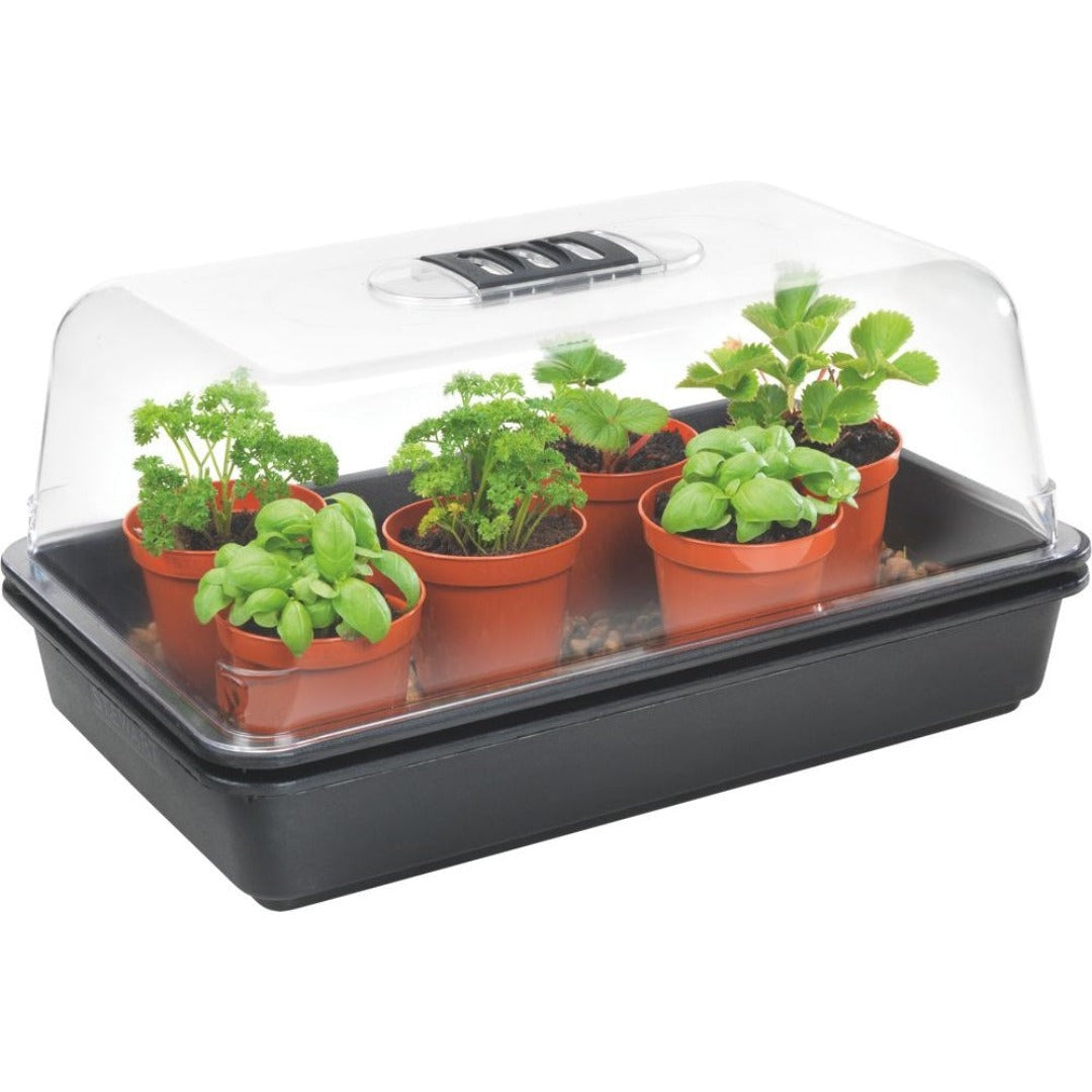 Stewarts Medium Heated Propagator