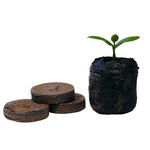 Jiffy-7 38mm Peat Plug single