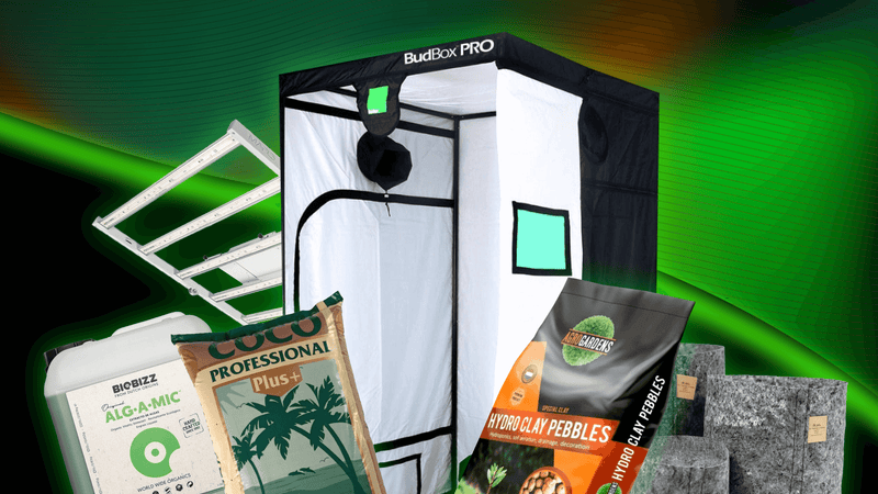 Essential Hydroponic Supplies: Everything You Need to Grow Like a Pro