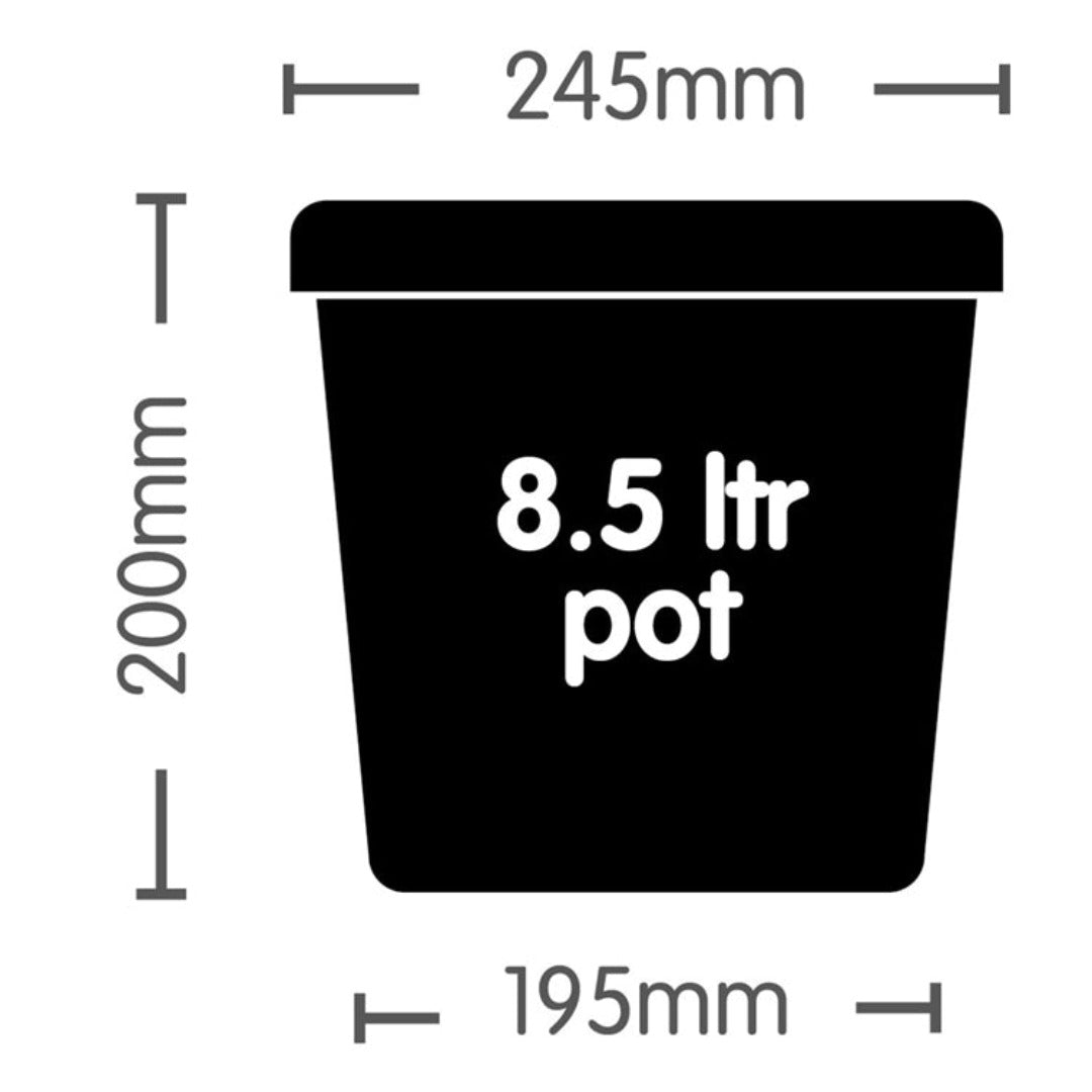 AutoPot Square 8.5L Pot