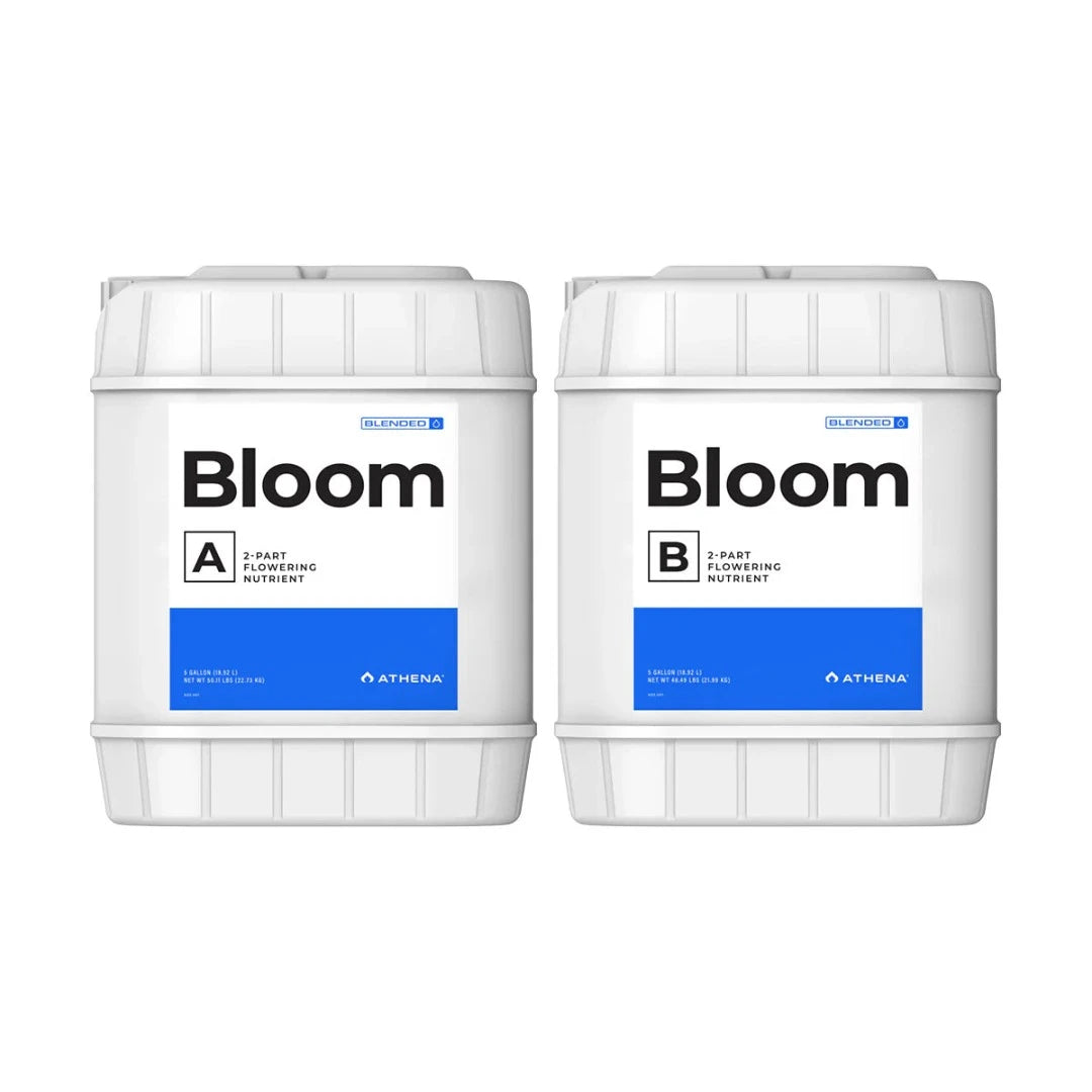 Athena Bloom A+B 3.8L set