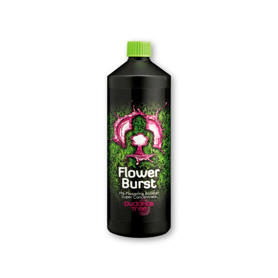 Buddhas Tree Flower Burst 1L Go Green Hydro