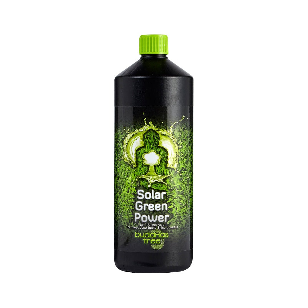 Buddhas Tree Solar Green Power 1L Go Green Hydro