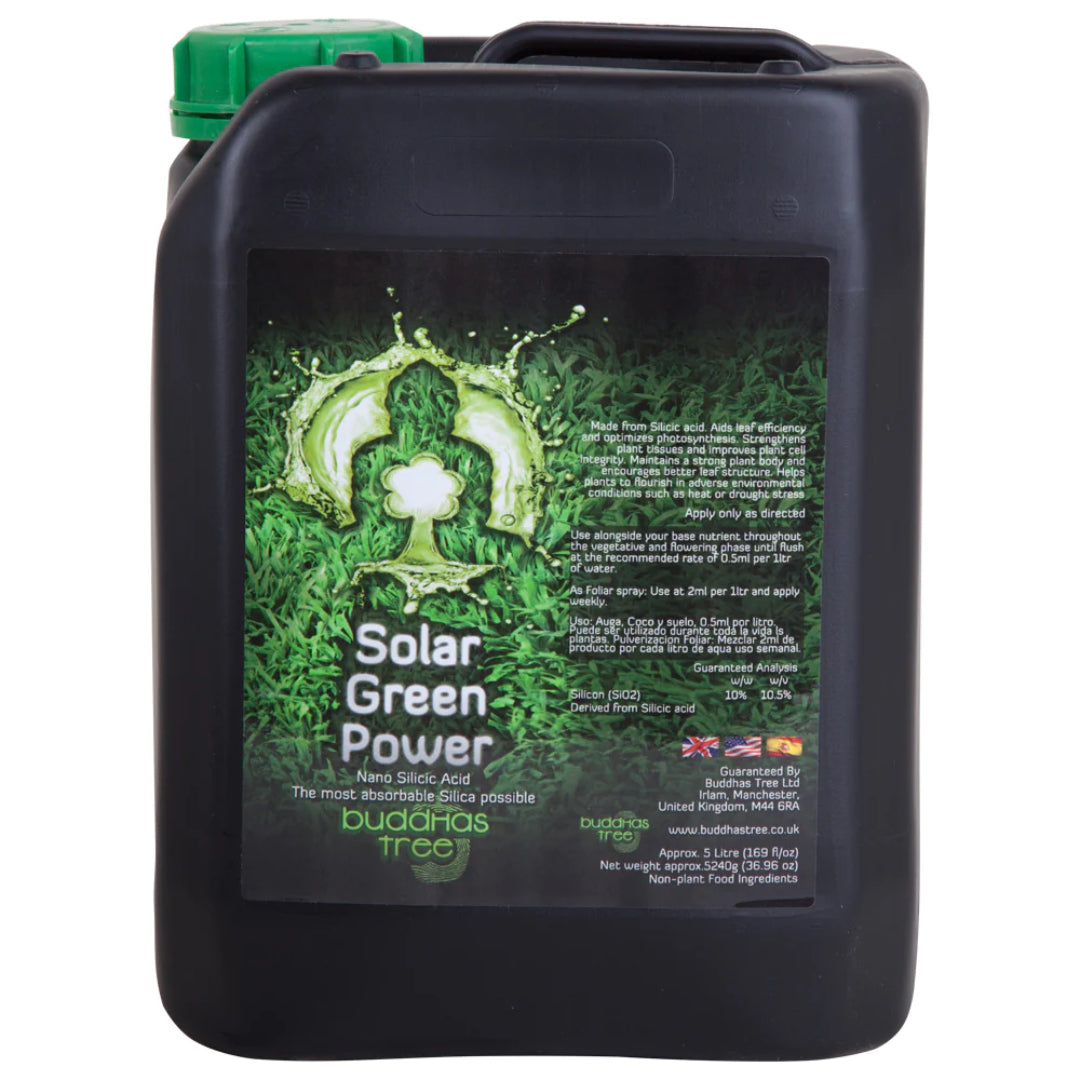 Buddhas Tree Solar Green Power 5L Go Green Hydro