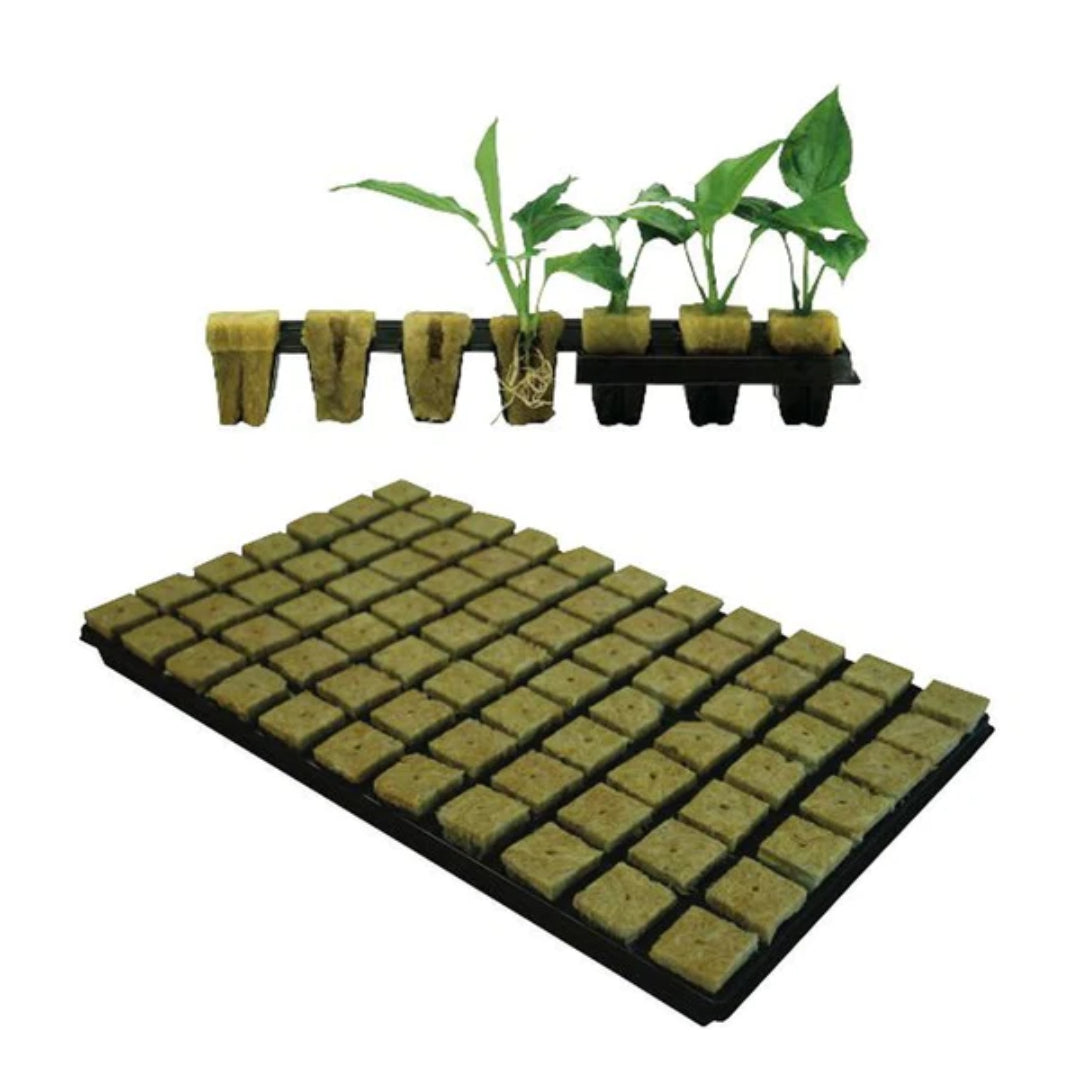 Cultilene CRB Large Propagator 77 Cubes in Tray Go Green Hydro