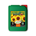 Dutch Pro Ph-Bloom 5L Go Green Hydro