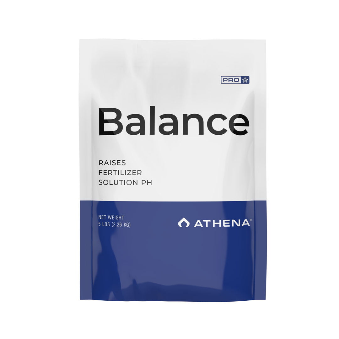 Athena Balance 3.8L