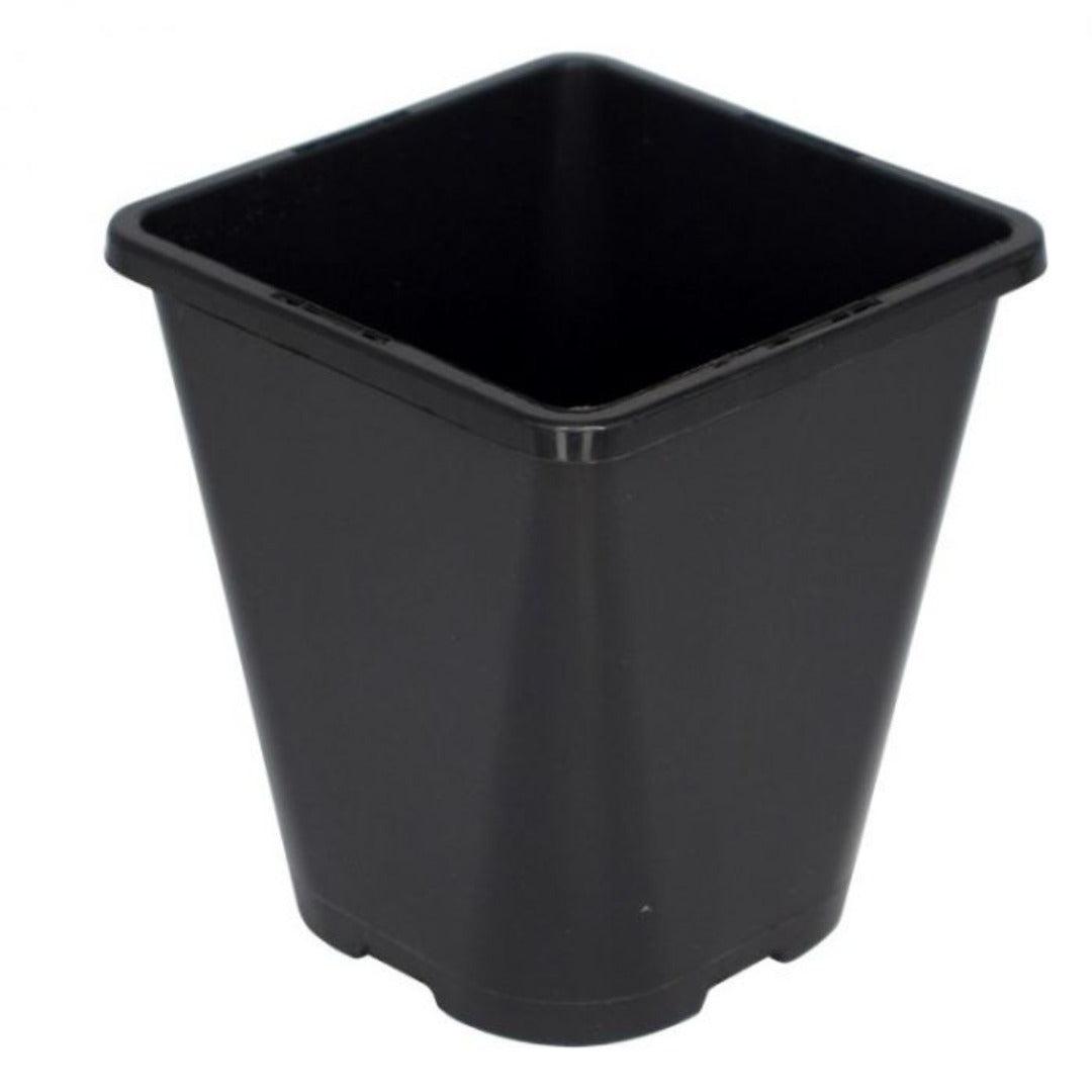 Square Round Pot 1L Go Green Hydro