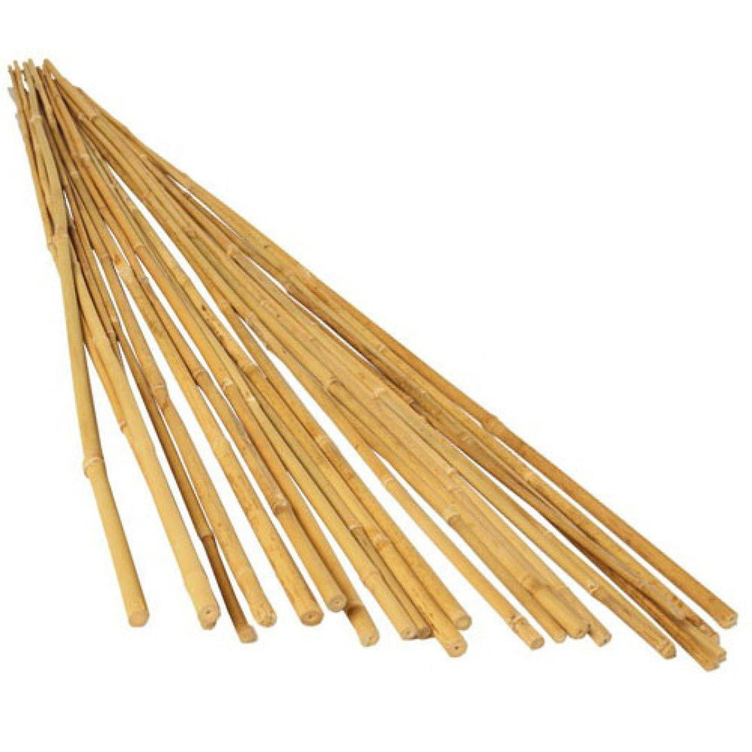 4' Bamboo Stakes (120cm) - Pack of 25